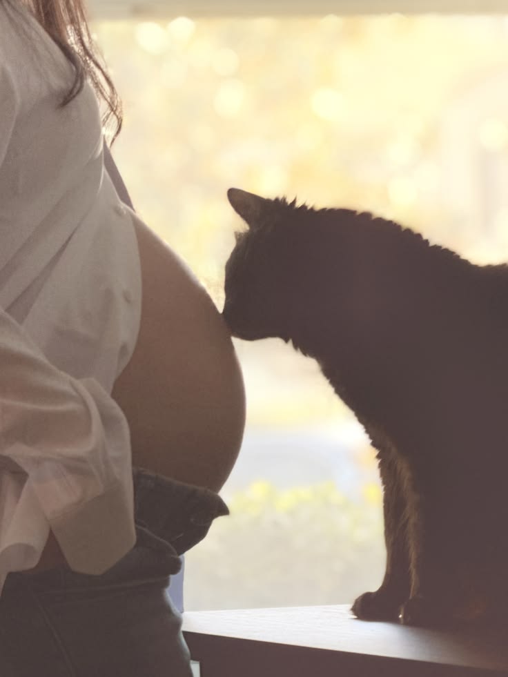 A cat gently touching the belly of a pregnant person